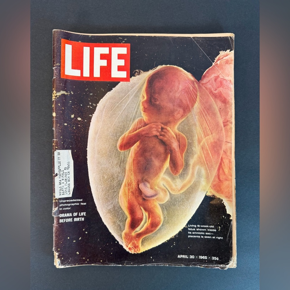 1965 APRIL 30 LIFE MAGAZINE DRAMA OF LIFE BEFORE BIRTH Vintage Ads Collectible